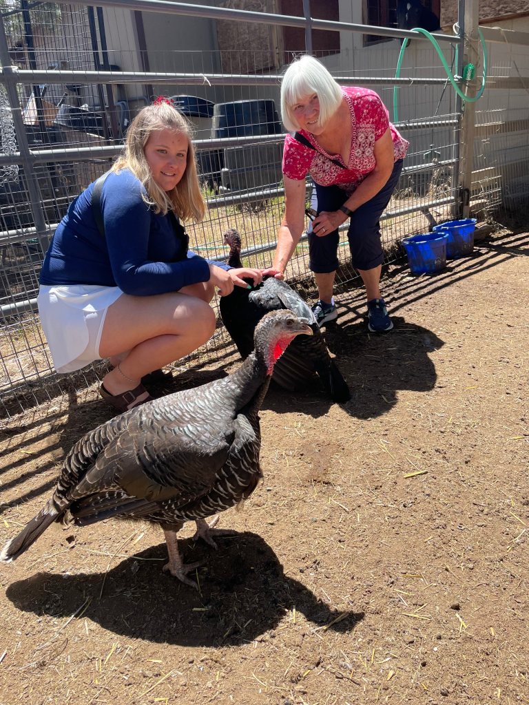 This image has an empty alt attribute; its file name is img_2604.jpg