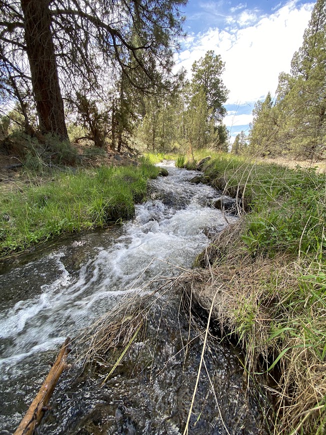 This image has an empty alt attribute; its file name is canal.jpg